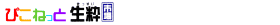 �v���[���g